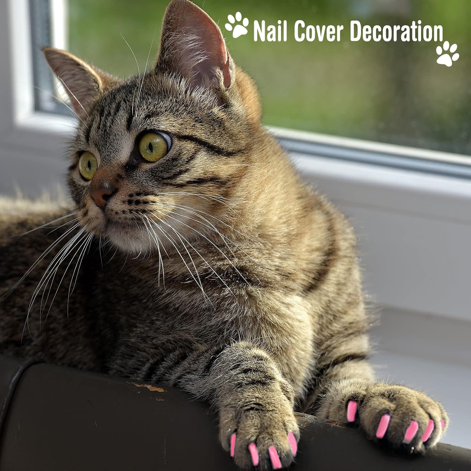 9 Pcs Cat Bathing Bag Set Cat Shower Bag anti Bite and Scratch for Pet Grooming Washing Brush Comb Muzzle Nail Clipper Nail File Tick Tool(Pink)