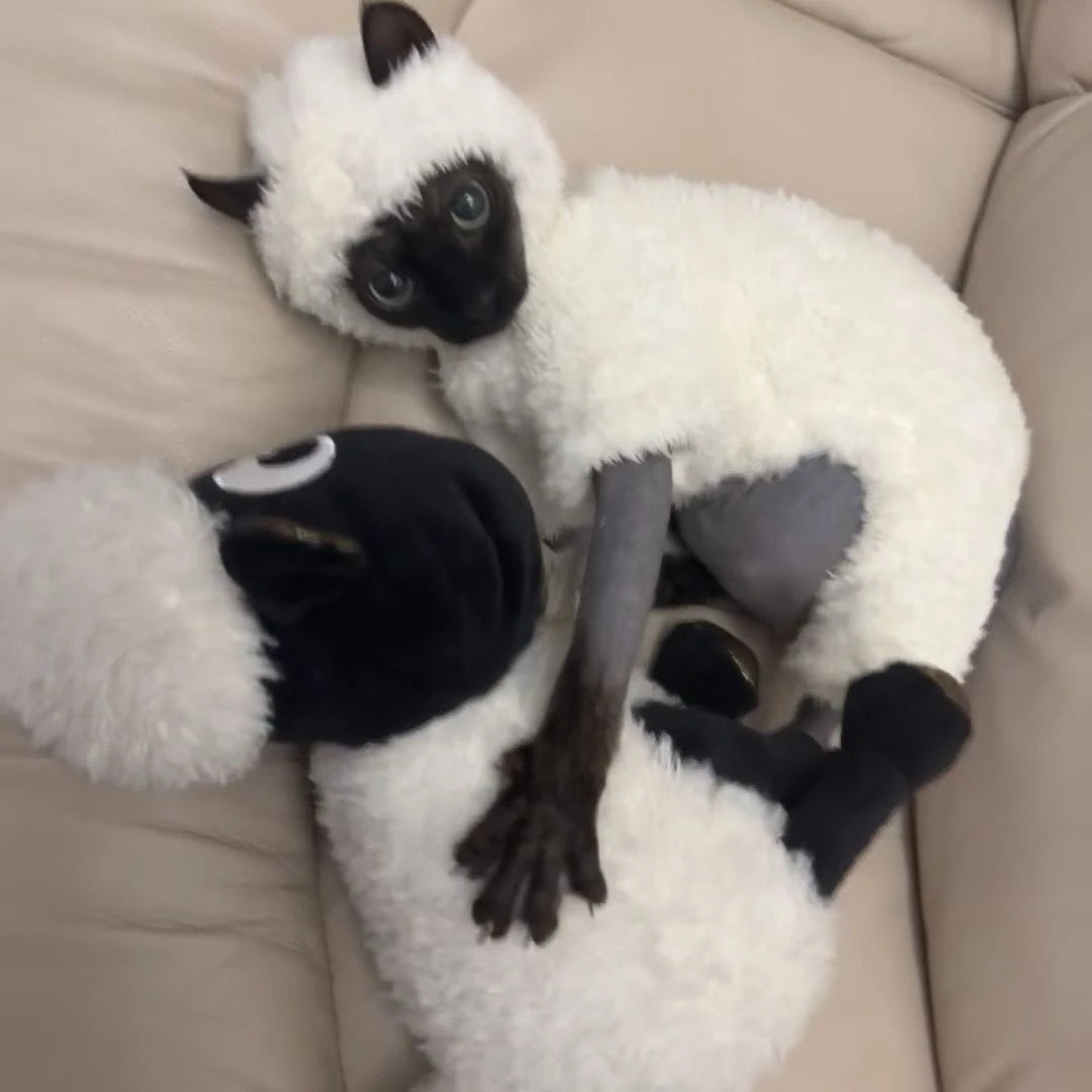 Sphynx Cat Lamb Sweater
