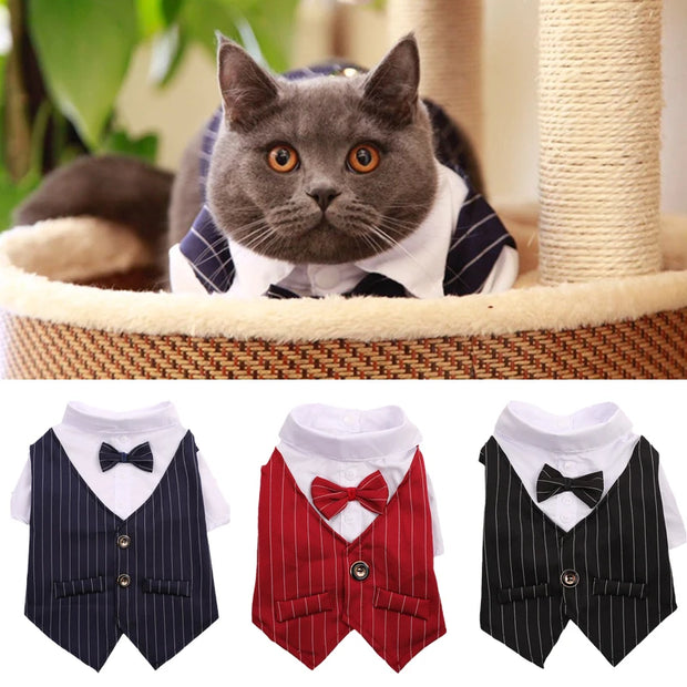 Pet Party Suit Jacket