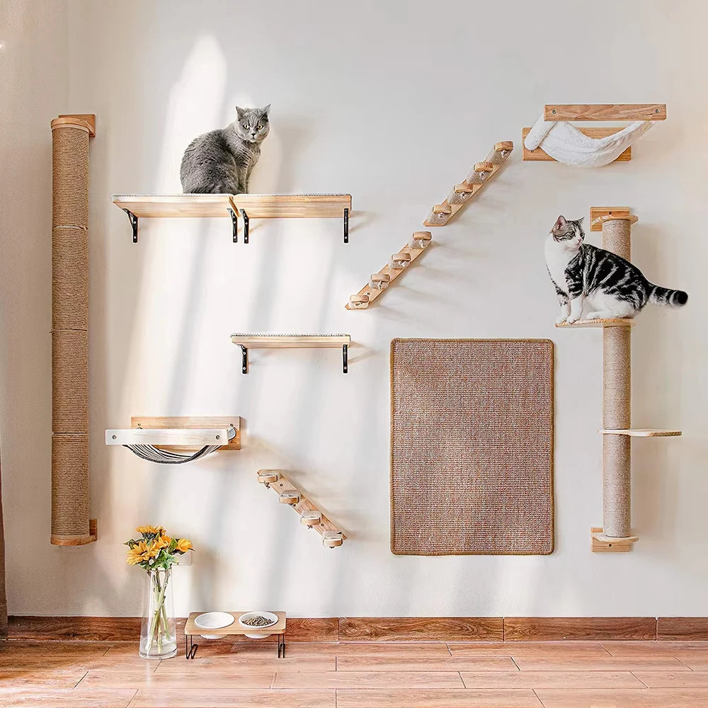 Four-Step Wall Climbing Shelf