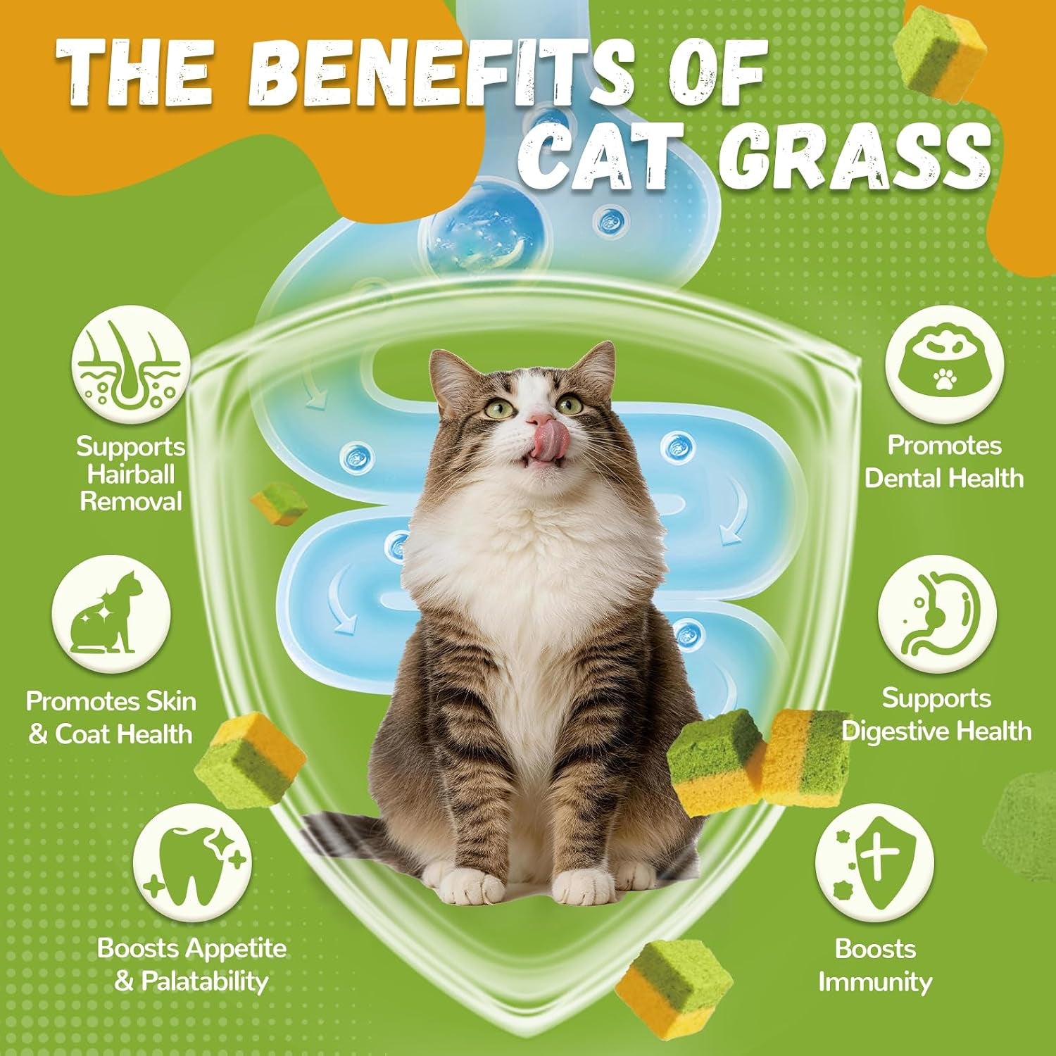 Cat Grass Treats for Indoor Cats, 60G Freeze-Dried Cat Grass & Egg Yolk Treats - Feline Grass Treаts for Hairball Control and Healthy Coat, Chicken Flavor